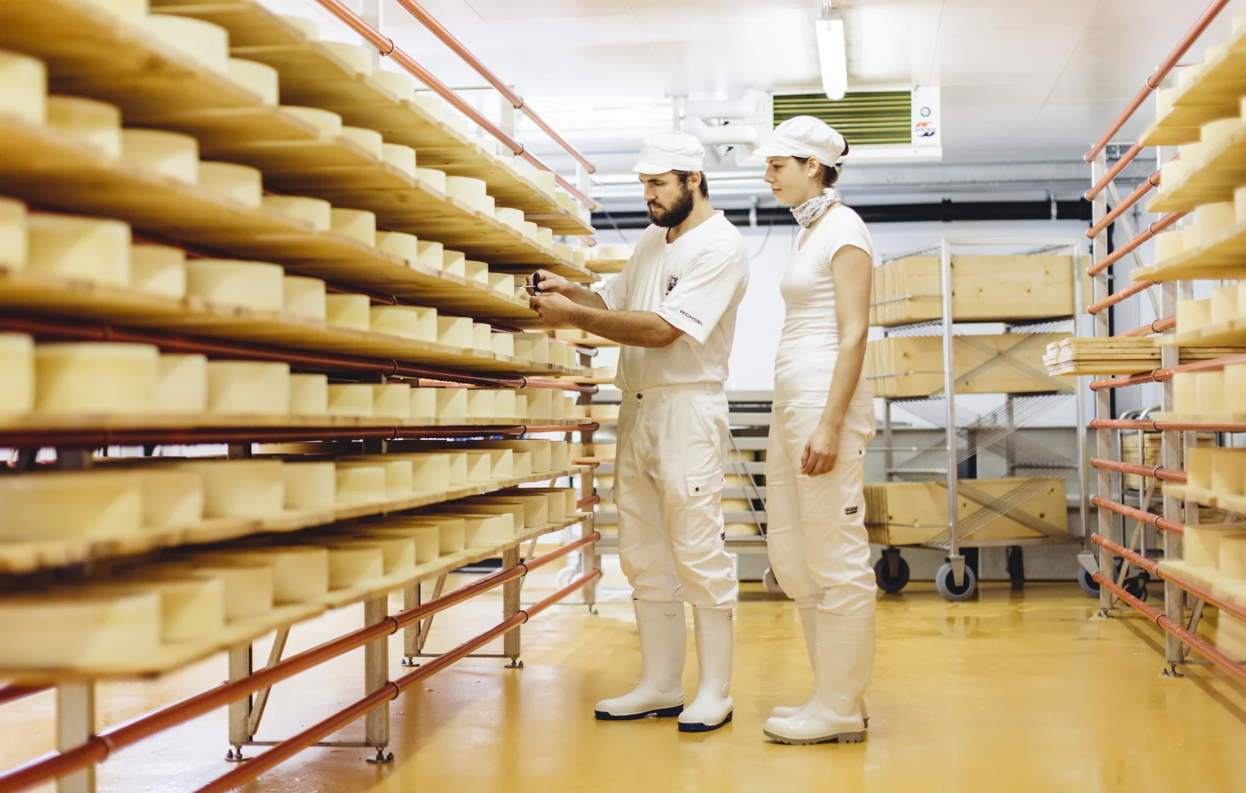 Mitarbeiter der Alpkäserei Parpan kontrollieren Käse